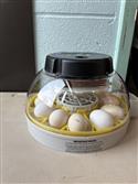 IMG_4351(4)-3